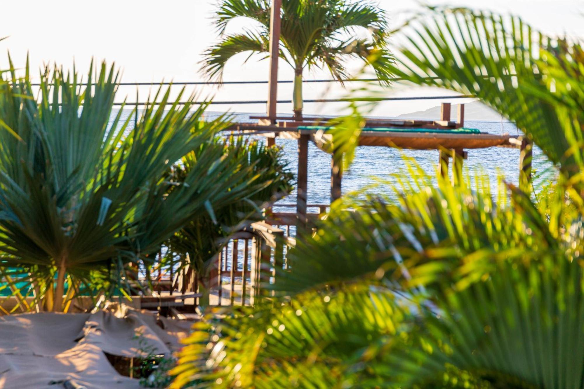 Lotus Suite, 1 Bedroom, Sleeps 4, Pool & Bbq, Pre-Renovation Summer Sale Kihei Exteriör bild
